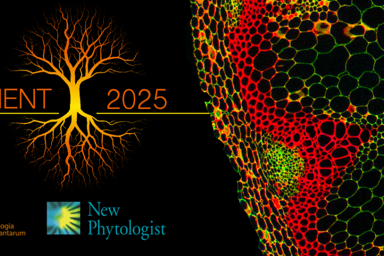 VD2025